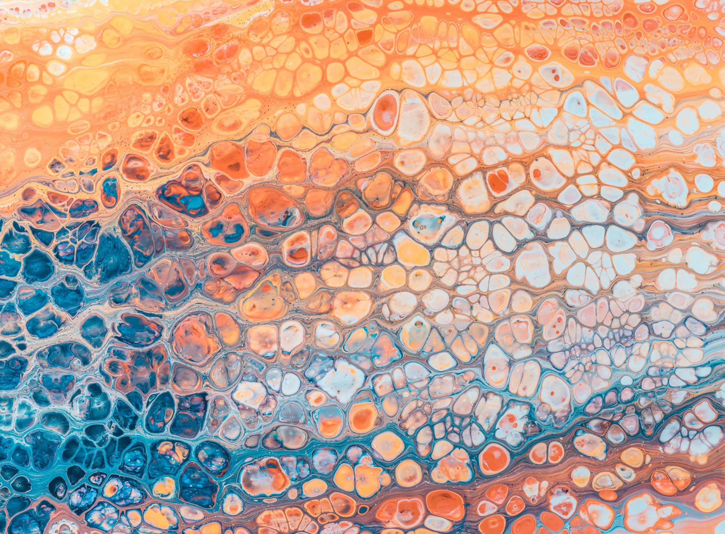 Researcher in laboratory